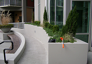 Harbor Steps - Planter Finished - Waterproofing