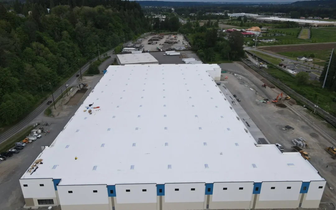 Pioneer Logistics Distribution and Logistics Facility Roof