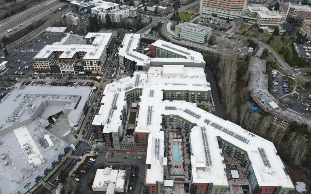 The Village at Totem Lake Roof